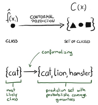 Classification