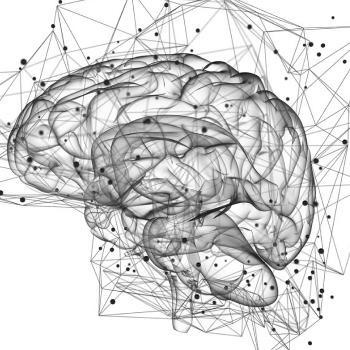 Deep Learning in Computer Vision